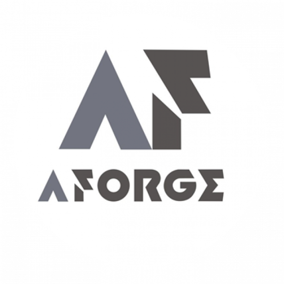 Tianchen -  logo A-Forge